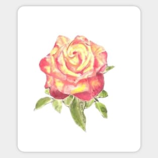 Watercolor of Rose Sticker